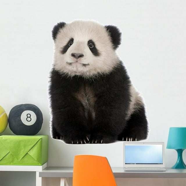 Giant Panda Wall Decal Peel And Stick Animal (36 In W X 33 In H ...