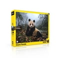 thumbnail image 1 of Giant Panda, 1 of 3