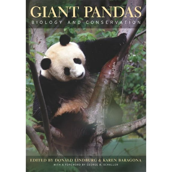 Giant Pandas : Biology and Conservation (Edition 1) (Hardcover)