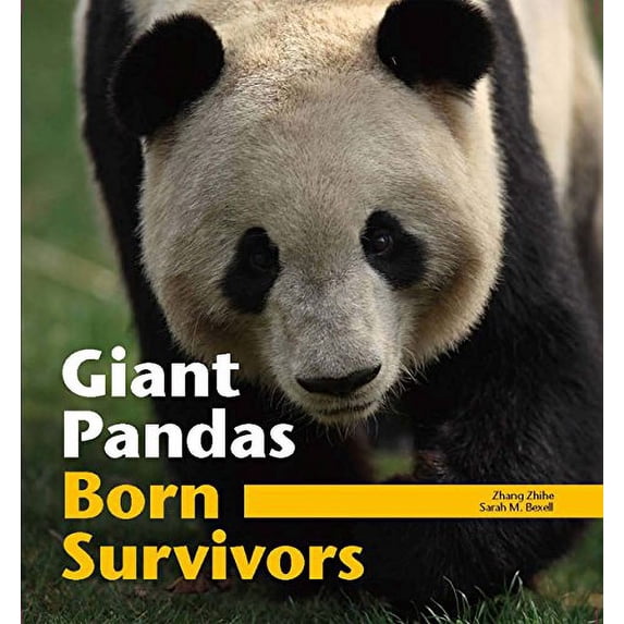 Pre-Owned Giant Pandas: Born Survivors Paperback