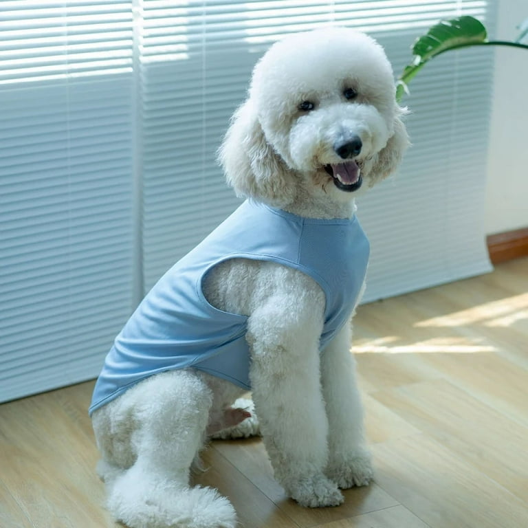Husky dog clothes discount