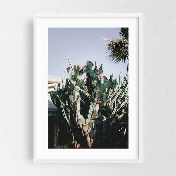 Giant Prickly Pear Cactus - Visalia California Photography Cactus Desert Nature Botanical Tropical Wilderness Garden White Framed Wall Art Print 5 x 7 inches
