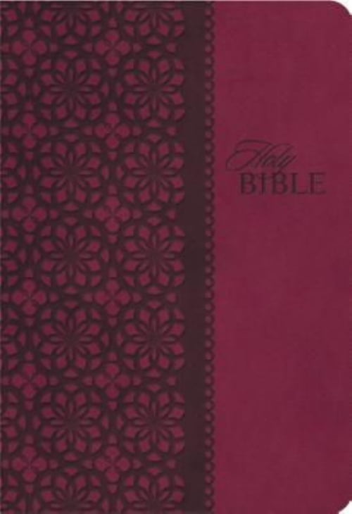 Kjv, End-of-verse Reference Bible, Personal Size, Giant Print ...