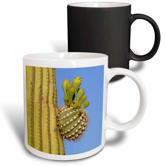 3drose, Giant Saguaro, Saguaro Np, Sonora Desert, Arizona, Tucson, Usa., 11oz Magic Transforming Mug