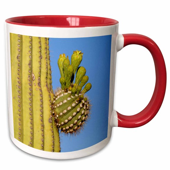 3drose, Giant Saguaro, Saguaro Np, Sonora Desert, Arizona, Tucson, Usa., 11oz Two-tone Red Mug