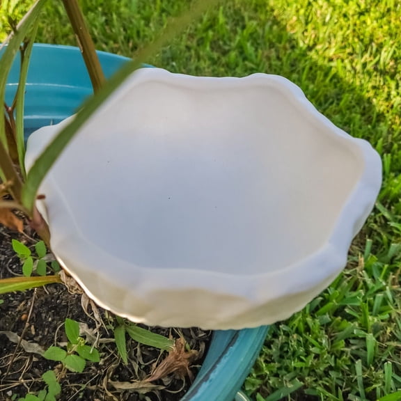 Giant Seashell Bowl 6" IN STOCK Ceramic Bisque Ready To Paint Pottery