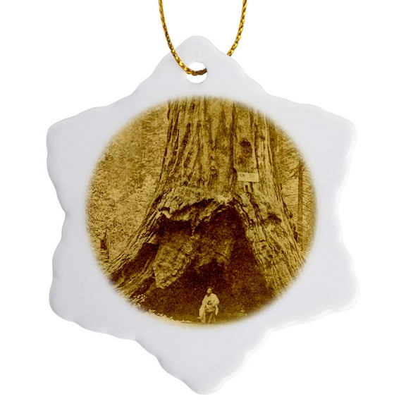 3drose, Giant Sequoia Calaveras Big Trees State Park California Pioneer Cabin, 3 inch Snowflake Porcelain Ornament