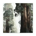 thumbnail image 1 of Giant Sequoia Reflection - Canvas, 1 of 11