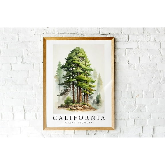 Giant Sequoia The State Tree Of California Poster Print Wall Décor
