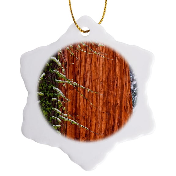 3drose, Giant Sequoia Tree Close up in Winter, Sequoia Np, California, 3 inch Snowflake Porcelain Ornament