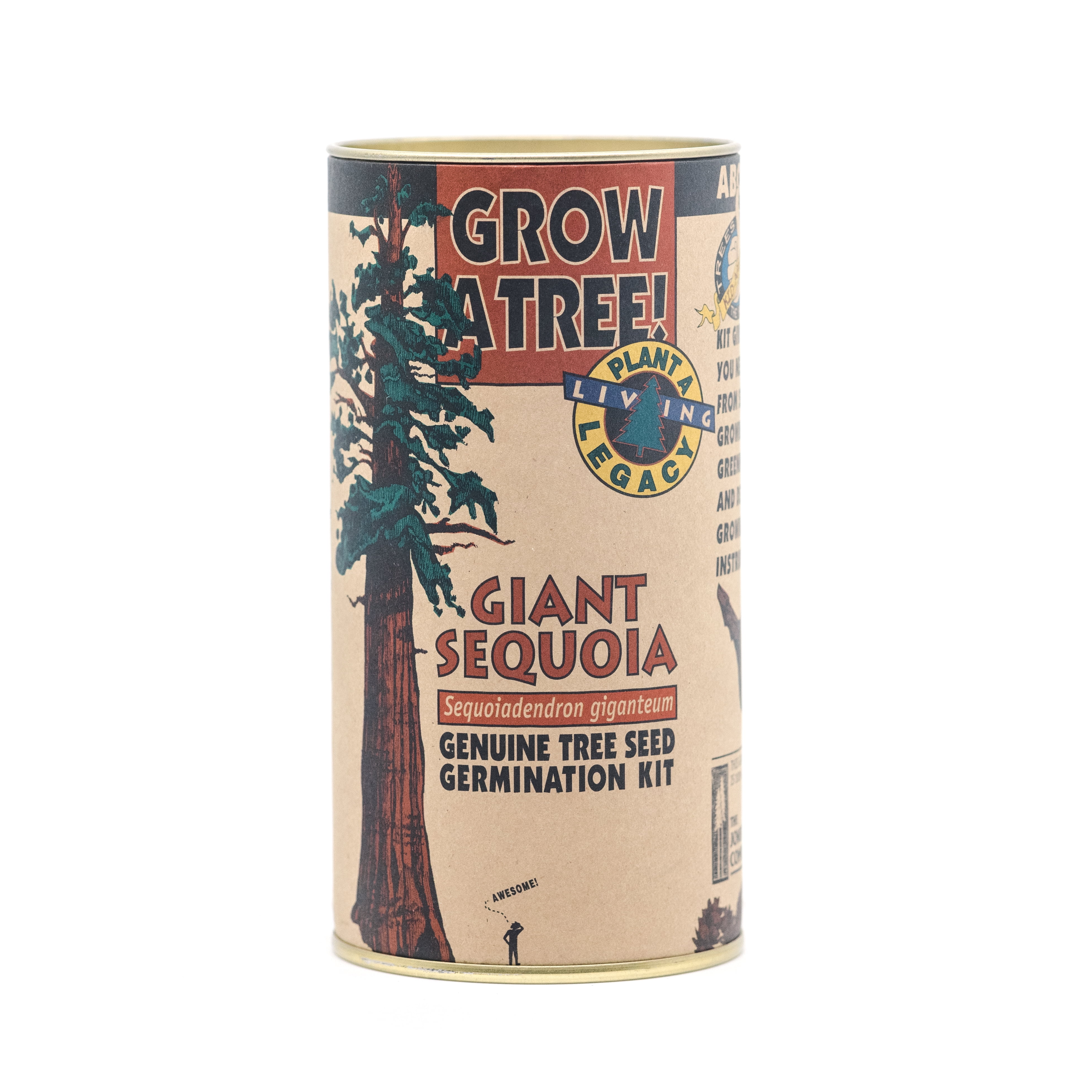 The Jonsteen Company | Giant Sequoia Tree Seed Grow Kit