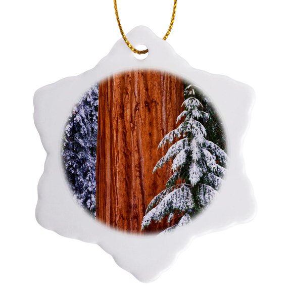 3drose, Giant Sequoia Trunk in Winter, Giant Forest, Sequoia Np, California, 3 inch Snowflake Porcelain Ornament
