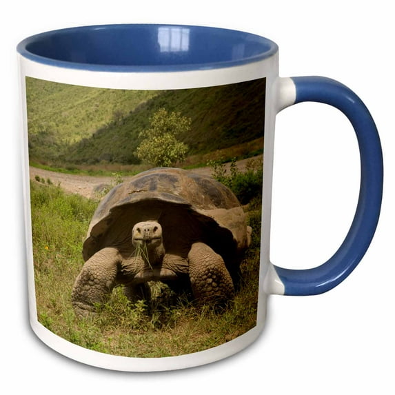 3drose, Giant Tortoise, Alcedo Volcano, Galapagos Islands - Sa07 Pox0686 - Pete Oxford, 11oz Two-tone Blue Mug