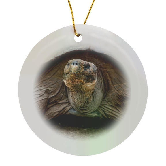 3drose, Giant Tortoise Lumbers Along at the Charles Darwin Research Center., Circle Porcelain Ornament