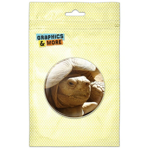 Giant Tortoise Turtle Refrigerator Button Magnet