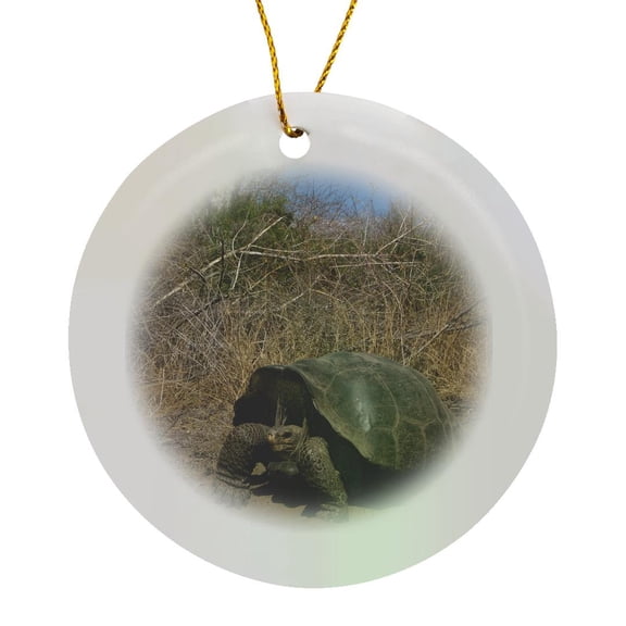 3drose, Giant Tortoise, Wolf Volcano, Galapagos Islands - Sa07 Pox2169 - Pete Oxford, Circle Porcelain Ornament