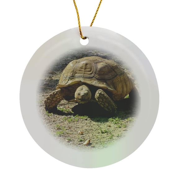 3drose, Giant Turtle, Circle Porcelain Ornament