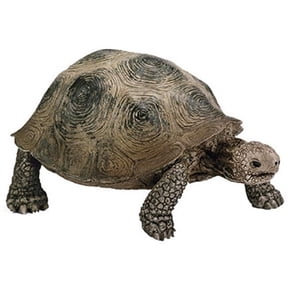 Giant Turtle -Green