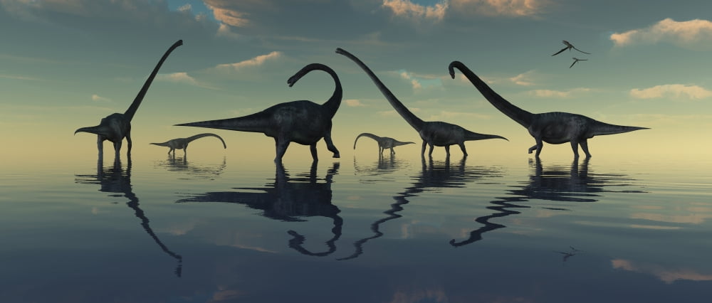 Giant sauropod dinosaurs grazing a prehistoric lake Canvas Art - Mark StevensonStocktrek Images (44 x 19)