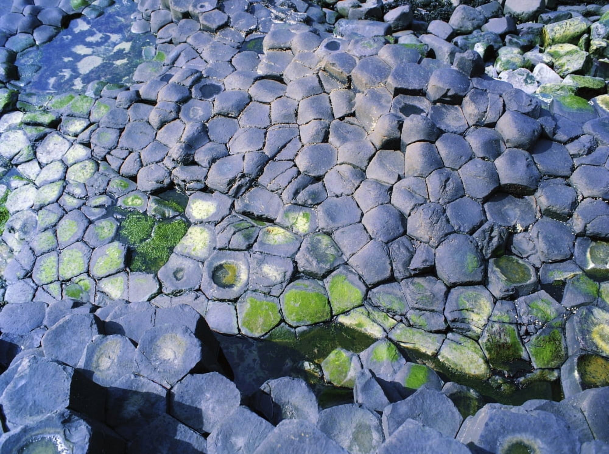 Giants Causeway Co Antrim Ireland Area Designated A Unesco World Heritage Site With Basalt Columns Canvas Art - The Irish Image Collection  Design Pics (17 x 13)