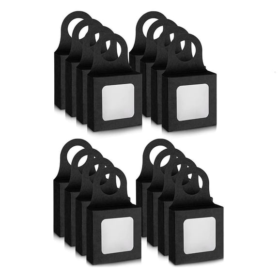 Giaone Functional Kraft Paper Bottle Gift Box Windowed Case with Carry Hook