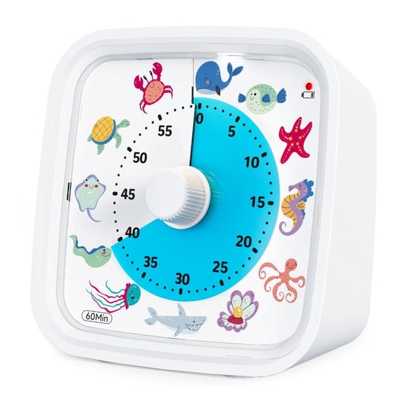 Giaone Multipurpose Quiet Countdowns Timers For Students Feature Flashing Lights Reminder And Easy Stopping Button