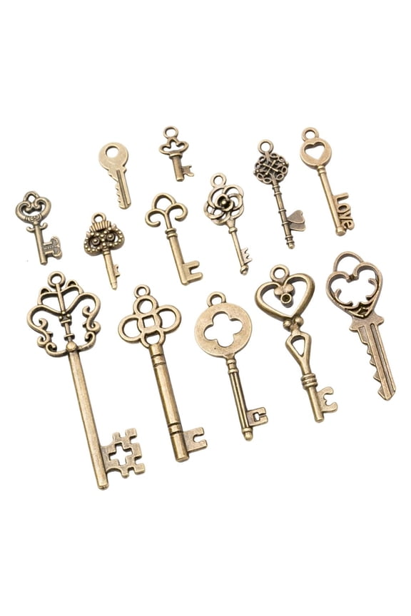 Giaone Pack of 13 Assorted Retro Key Metal Material for Daily Key Management