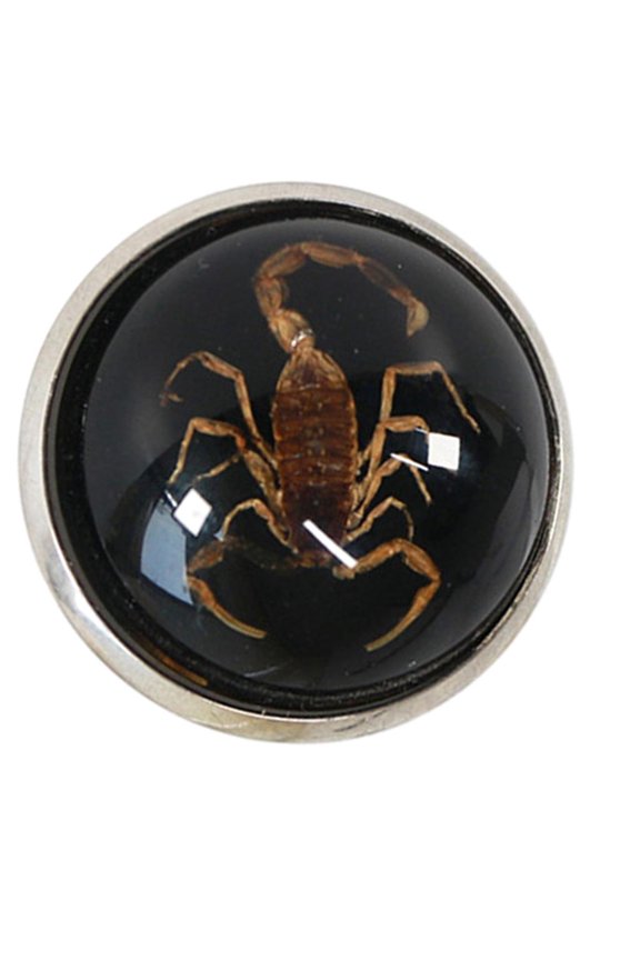 Scorpion Rings Charm Opening Rings Trendy Luminous Couple Jewelry Pieces