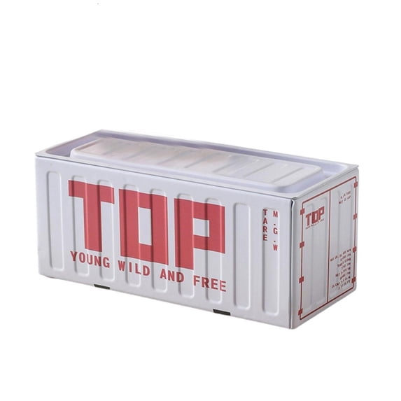Giaone Tin Container Box Decorative Storage Rearrange