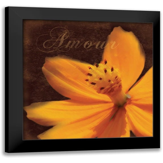 Gibbons, Lauren 12x12 Black Modern Framed Museum Art Print Titled - Amour Flower