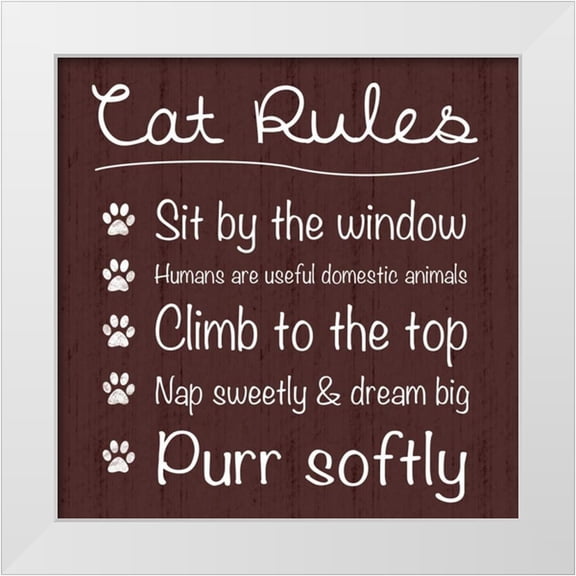 Gibbons, Lauren 12x12 White Modern Wood Framed Museum Art Print Titled - Cat Rules
