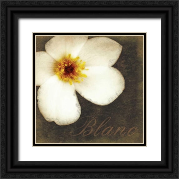 Gibbons, Lauren 15x15 Black Ornate Wood Framed with Double Matting Museum Art Print Titled - Blanc Flower