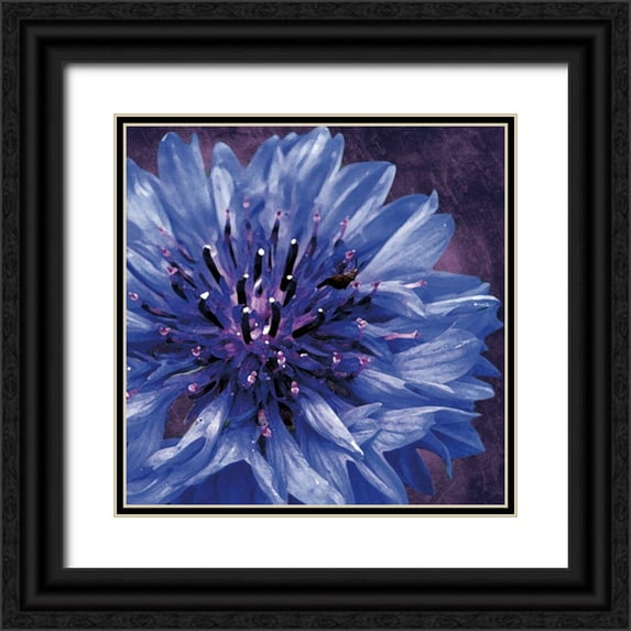 Gibbons, Lauren 15x15 Black Ornate Wood Framed with Double Matting Museum Art Print Titled - Purple Flower