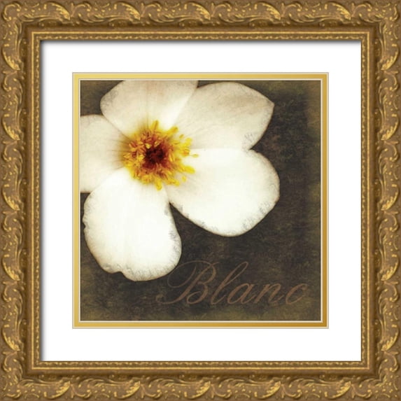 Gibbons, Lauren 15x15 Gold Ornate Wood Framed with Double Matting Museum Art Print Titled - Blanc Flower