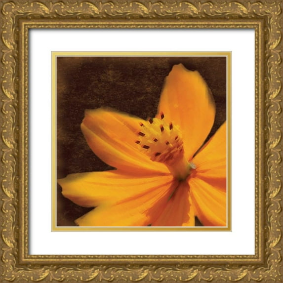 Gibbons, Lauren 15x15 Gold Ornate Wood Framed with Double Matting Museum Art Print Titled - Just The Flower