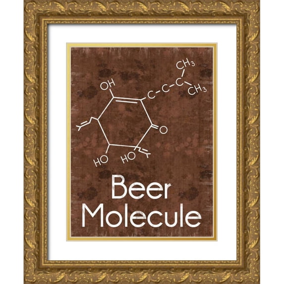 Gibbons, Lauren 19x24 Gold Ornate Wood Framed with Double Matting Museum Art Print Titled - Beer Molecule 2 Rect Brown