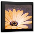 thumbnail image 1 of Gibbons, Lauren 20x20 Black Modern Framed Museum Art Print Titled - Orange Flower, 1 of 5