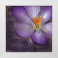 thumbnail image 1 of Gibbons, Lauren 20x20 White Modern Wood Framed Museum Art Print Titled - Wish Flower, 1 of 4
