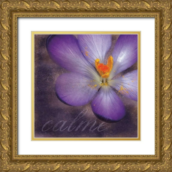 Gibbons, Lauren 26x26 Gold Ornate Wood Framed with Double Matting Museum Art Print Titled - Calm Flower
