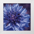 thumbnail image 1 of Gibbons, Lauren 26x26 White Modern Wood Framed Museum Art Print Titled - Purple Flower, 1 of 4