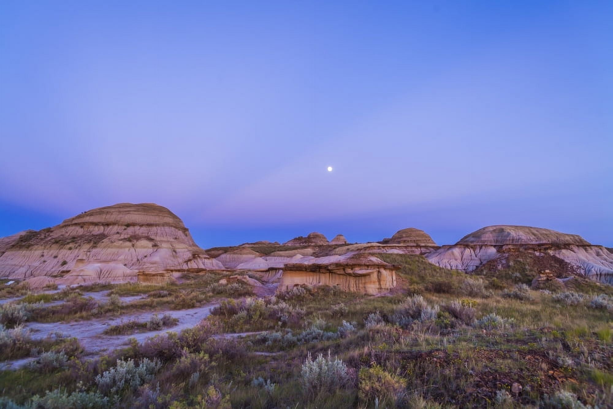 Gibbous moon and crepuscular rays over Dinosaur Provincial Park Canada Canvas Art - Alan DyerStocktrek Images (35 x 23)