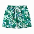 thumbnail image 1 of Gibobby Boy/Toddler Boy Swimming Trunck Toddler/Baby Boys Swim Trunks Swimsuit Swimwear Bathing Suits Beachwear Adjustable Waist Swimming Shorts Size for(2-3 Years,Blue), 1 of 3