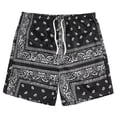 thumbnail image 1 of Gibobby Mens Swim Trunks with Compression Liner Quick Dry Board Shorts Beach Sports Short for Men Swimming Bathing Suits with Pockets Swimwear Surfing(L,Black), 1 of 4