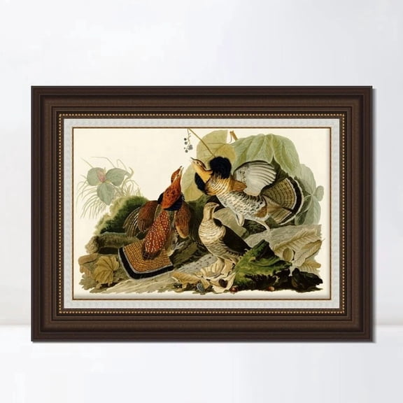 Giclee Print Ruffed Grouse By John James Audubon Home Decorations Art Home Decor Office Wall Art