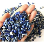 Giddyup! Buck's Lapis Lazuli Tumbled Chips Stone 1 Pound
