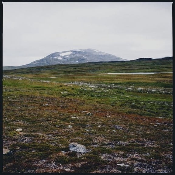 Gidge - Tundra - Music & Performance - Vinyl