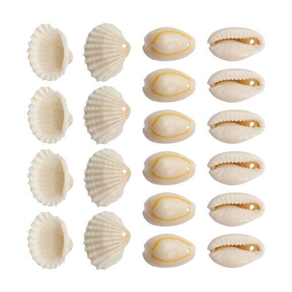 Gieenan 1 Set Beach Conch Shells with Hole Craft Shells Natural Shell Beads for Woman