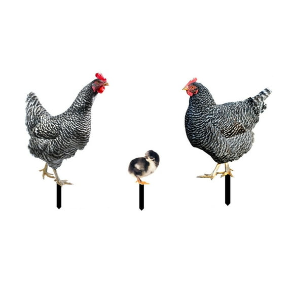 Gieenan 3Pcs Acrylic Stakes Lifelike Rooster Hen Chicken Ornaments Outdoor Art Decoration for Yards, Gardens Spring Decor