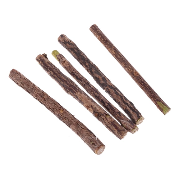 Gieenan 5 Pcs Natural Polygonum Stick Catnip Cats Toys Cleaning Teeth Pure Molar Snacks Silvervine Chew Toys Care