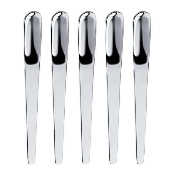 Gieenan 5 Piece Coffee Spoon Stainless Steel Flat Spoon Stirring Bar Spoon Kitchen Gift